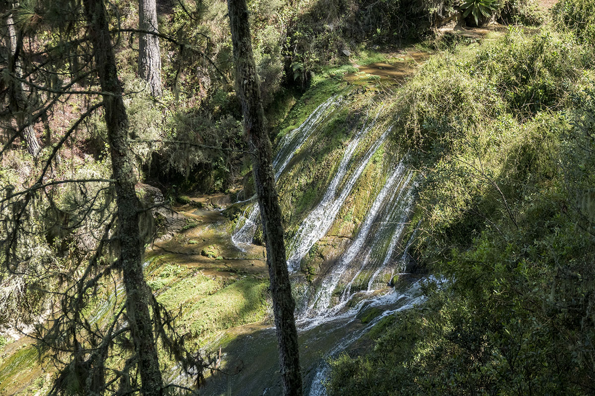 20210527_RDurocher_RX10r4_PNN-La-Visite_0131_Parc-La-Visite_Cascade-Riv-Blanche-b.jpg